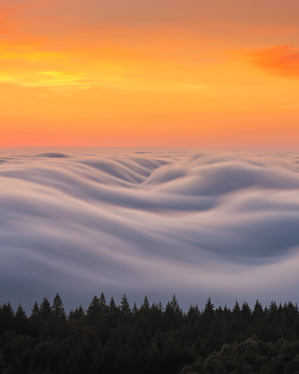 Fog Waves: One of the Most Unusual Scenes I have even Seen