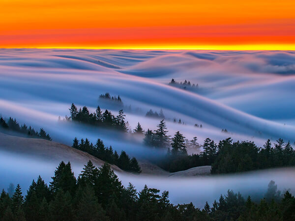 Fog Waves: One of the Most Unusual Scenes I have even Seen