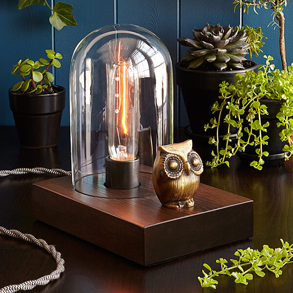 15 Cool Gift Ideas for Owl Lovers