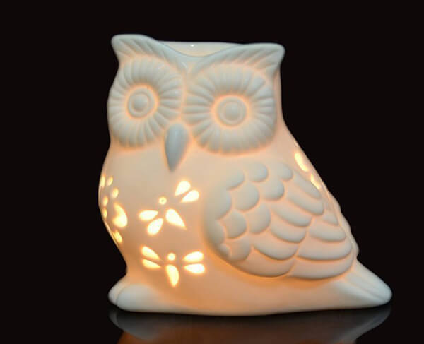 15 Cool Gift Ideas for Owl Lovers