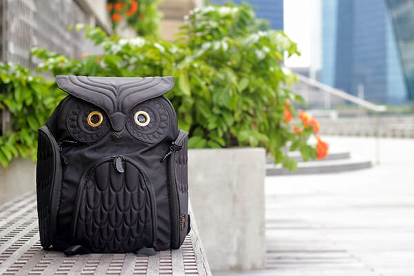 15 Cool Gift Ideas for Owl Lovers