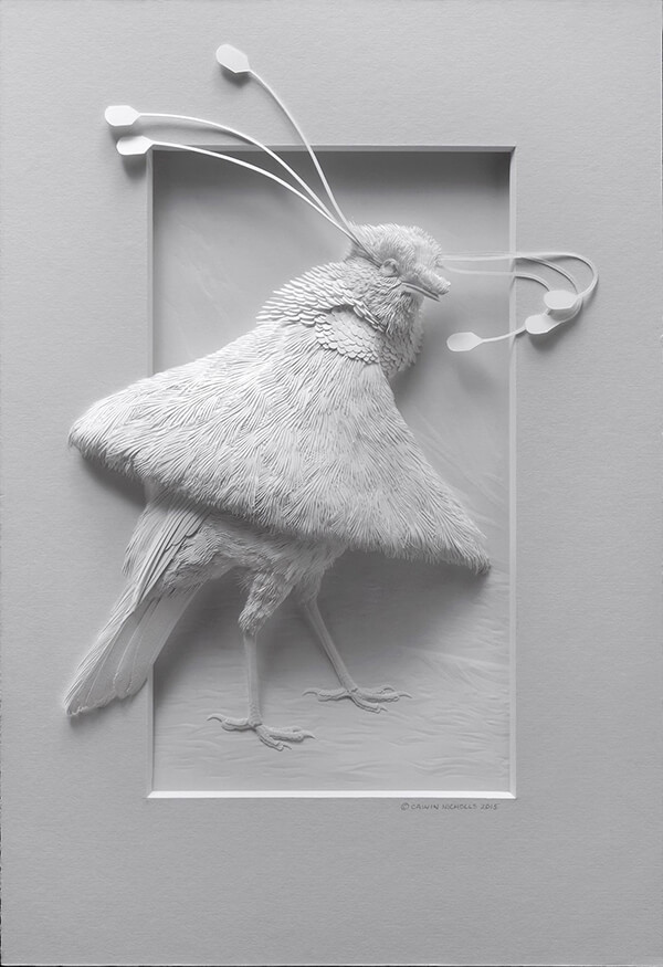 Unbelievable Delicate Paper Sculptures of Birds by Calvin Nicholls