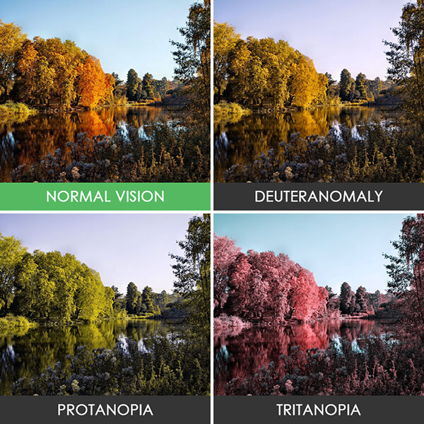 How the World Looks Like For Color Blind People