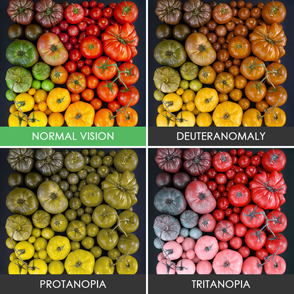 How the World Looks Like For Color Blind People