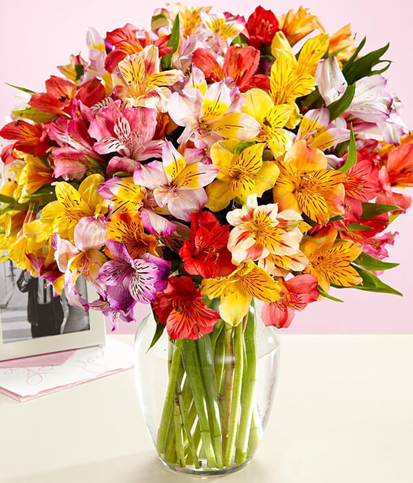 Brighten Your Space With Fresh-Cut Flowers