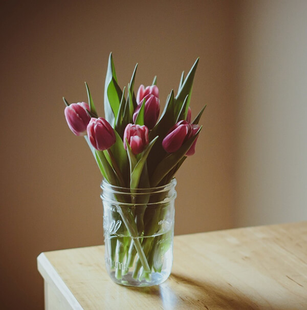 Brighten Your Space With Fresh-Cut Flowers