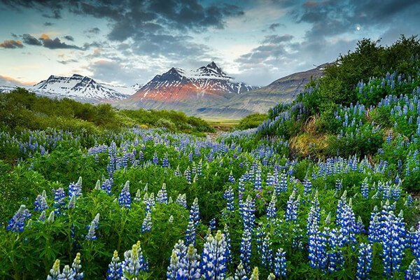 Iceland: One of the Most Beautiful Places on this Planet