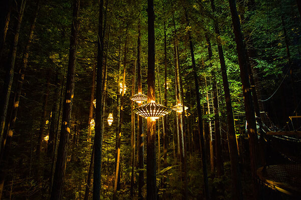 Sculptural Lights Have Been Added to Redwoods TreeWalk in New Zealand