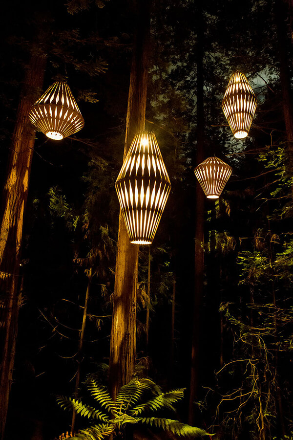 Sculptural Lights Have Been Added to Redwoods TreeWalk in New Zealand