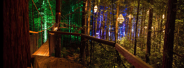 Sculptural Lights Have Been Added to Redwoods TreeWalk in New Zealand