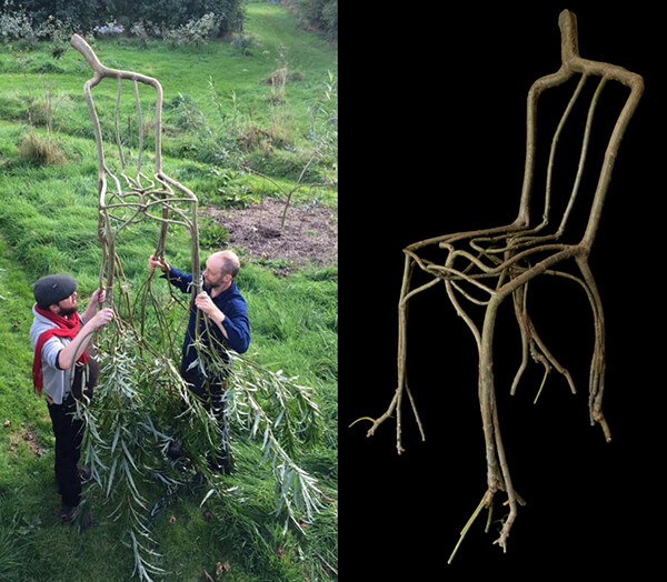 Full Grown: Get the Whole Furniture Out of Trees Directly