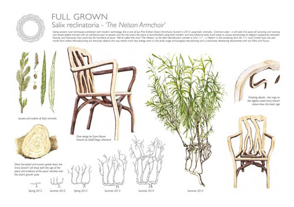 Full Grown: Get the Whole Furniture Out of Trees Directly