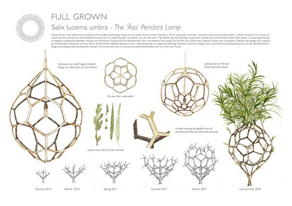 Full Grown: Get the Whole Furniture Out of Trees Directly