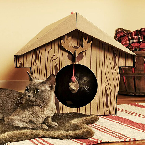 10 Unusual Cardboard Cat Playhouses