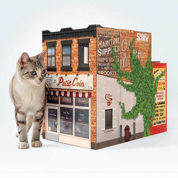 10 Unusual Cardboard Cat Playhouses