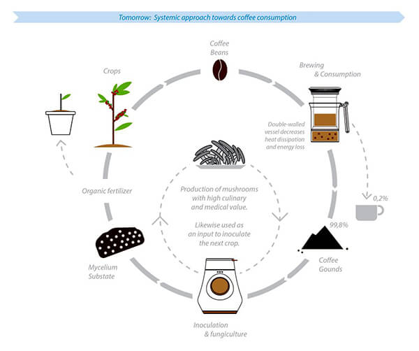 Grow Mushroom On Top Of Coffee Grounds: a New Coffee Ecosystem