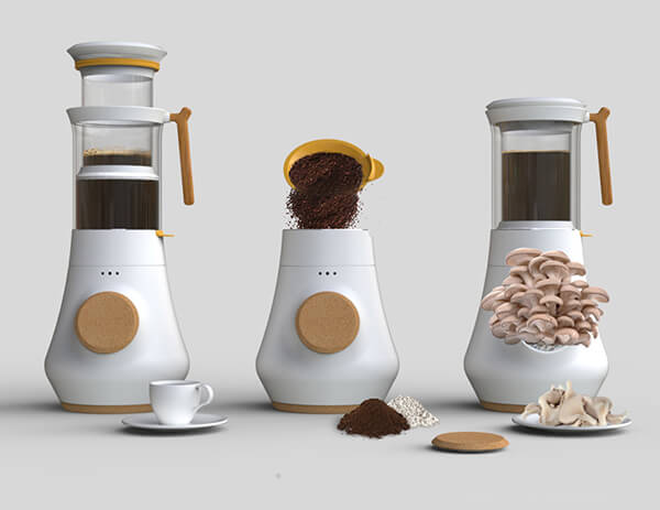 Grow Mushroom On Top Of Coffee Grounds: a New Coffee Ecosystem