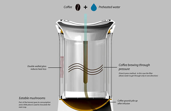 Grow Mushroom On Top Of Coffee Grounds: a New Coffee Ecosystem