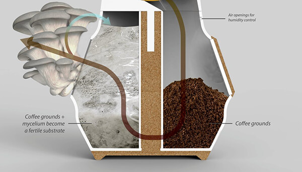 Grow Mushroom On Top Of Coffee Grounds: a New Coffee Ecosystem