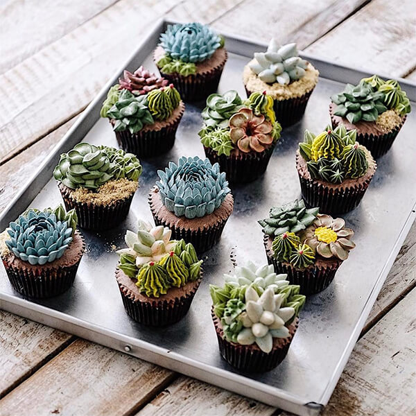 Want to Have a Bite of Succulent Plant? Seriously, They are Delicious!