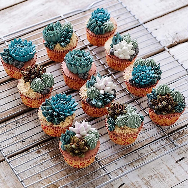 Want to Have a Bite of Succulent Plant? Seriously, They are Delicious!