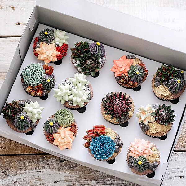 Want to Have a Bite of Succulent Plant? Seriously, They are Delicious!