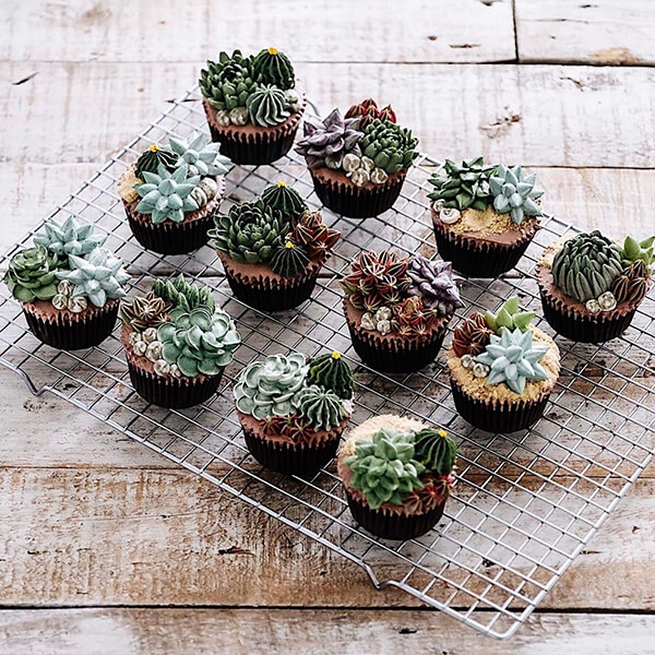Want to Have a Bite of Succulent Plant? Seriously, They are Delicious!