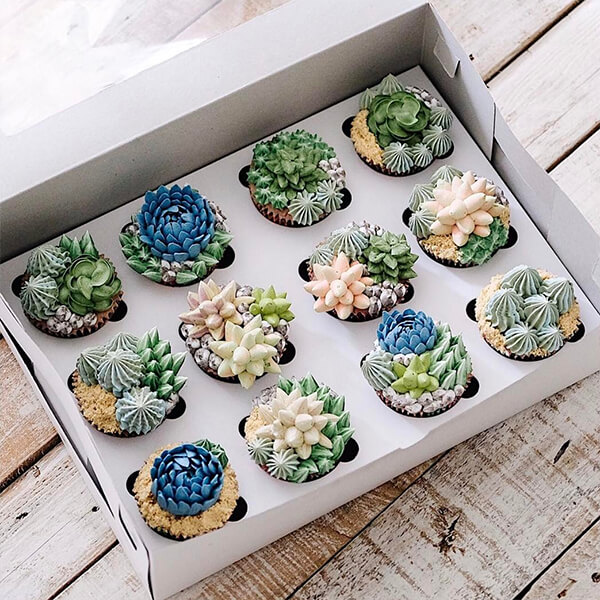 Want to Have a Bite of Succulent Plant? Seriously, They are Delicious!