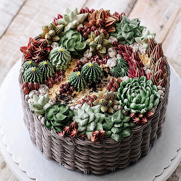 Want to Have a Bite of Succulent Plant? Seriously, They are Delicious!