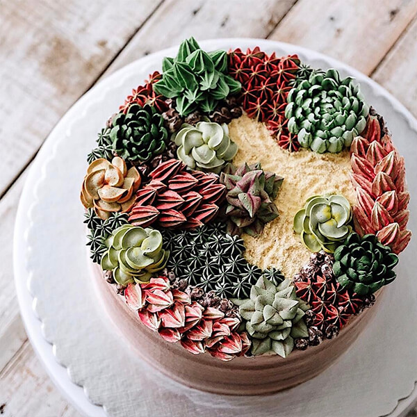 Want to Have a Bite of Succulent Plant? Seriously, They are Delicious!