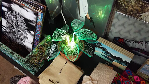 Lamp Plants: Evergreen Plants Will Glow In the Dark