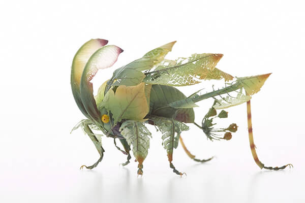 Imaginative Insects from Another World by Hiroshi Shinno