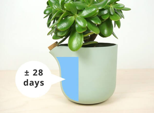 Innovative Self-watering Planter Tells You When It Needs Water Again