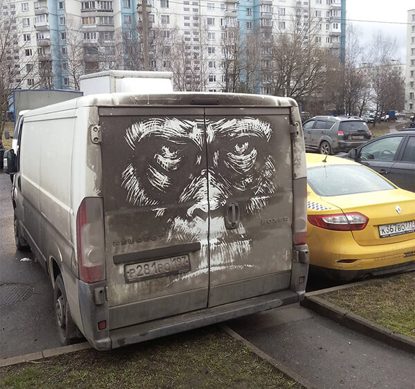 Dirty Art: Animals Etched onto Dirty Cars
