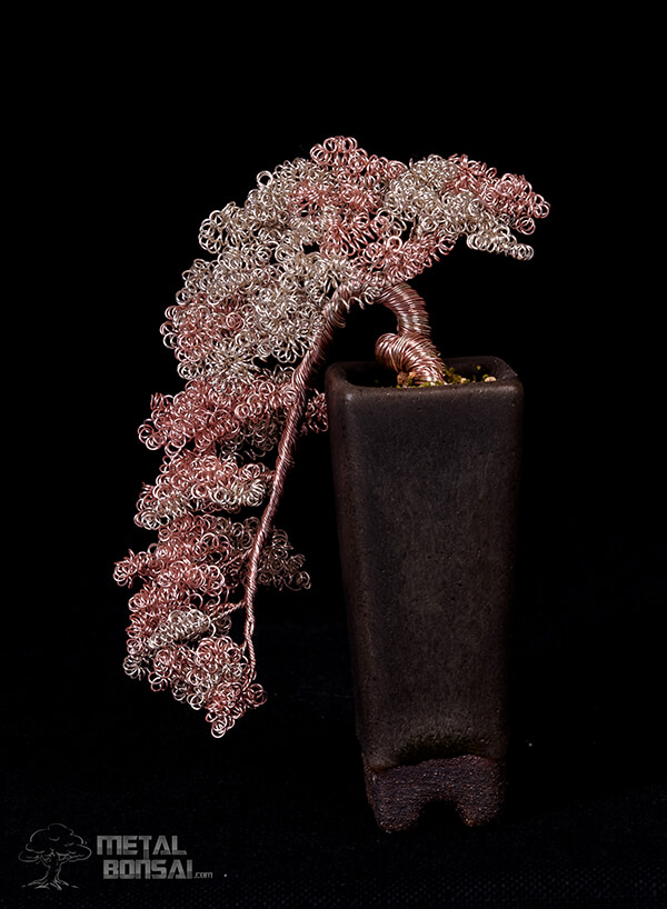 Handcrafted Wire Bonsai Tree Sculpture by Matthew Gollop