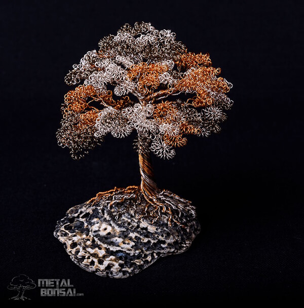 Handcrafted Wire Bonsai Tree Sculpture by Matthew Gollop