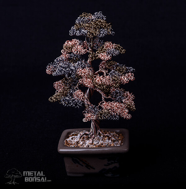 Handcrafted Wire Bonsai Tree Sculpture by Matthew Gollop