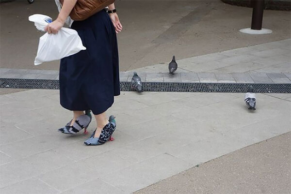 Creepiest Shoes Ever: DIY Pigeon Shoes