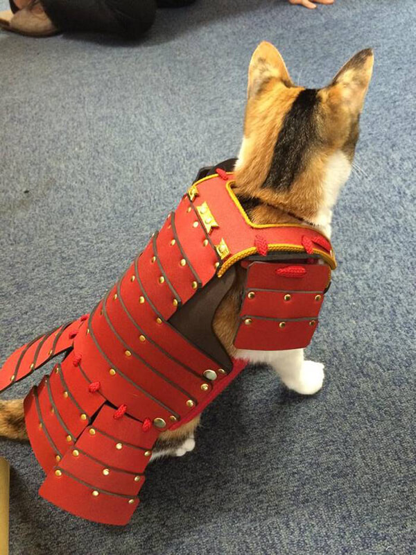 Special Japanese Samurai Armour for Your Pets