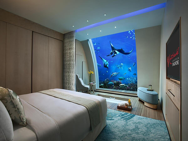 5 Amazing Underwater Hotels Provide Unforgettable Experience