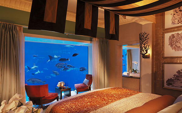 5 Amazing Underwater Hotels Provide Unforgettable Experience