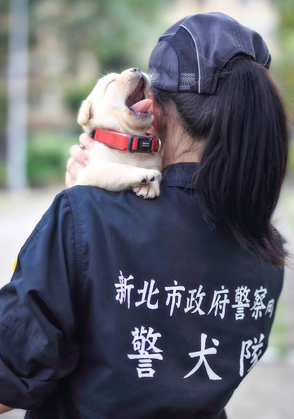 Adorable Puppies Join Taiwan's National Police Agency 