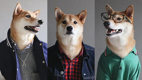 Most Well-dressed Dog from Menswear Dog