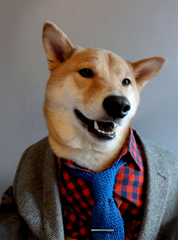 Most Well-dressed Dog from Menswear Dog