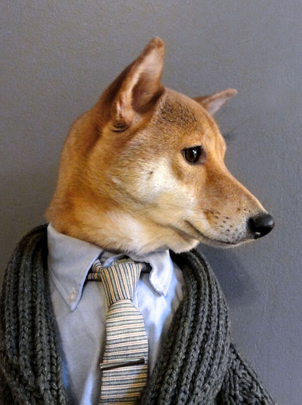 Most Well-dressed Dog from Menswear Dog