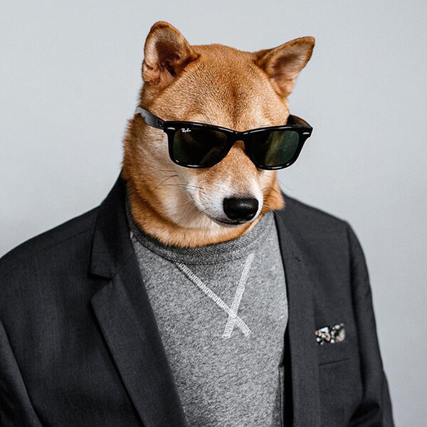 Most Well-dressed Dog from Menswear Dog