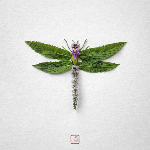 Insect Made Out Of Arranged Flowers