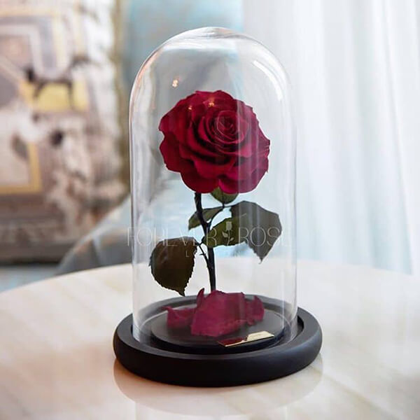 Forever Rose: the Rose Stands At Least 3 Years With Water or Sunlight