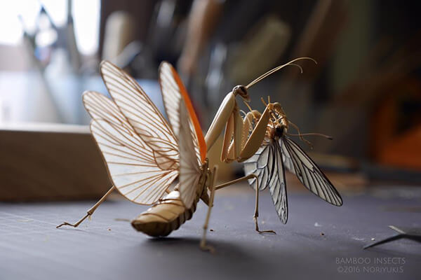 Life-size Insects Made out of Bamboo