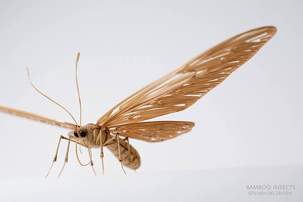 Life-size Insects Made out of Bamboo